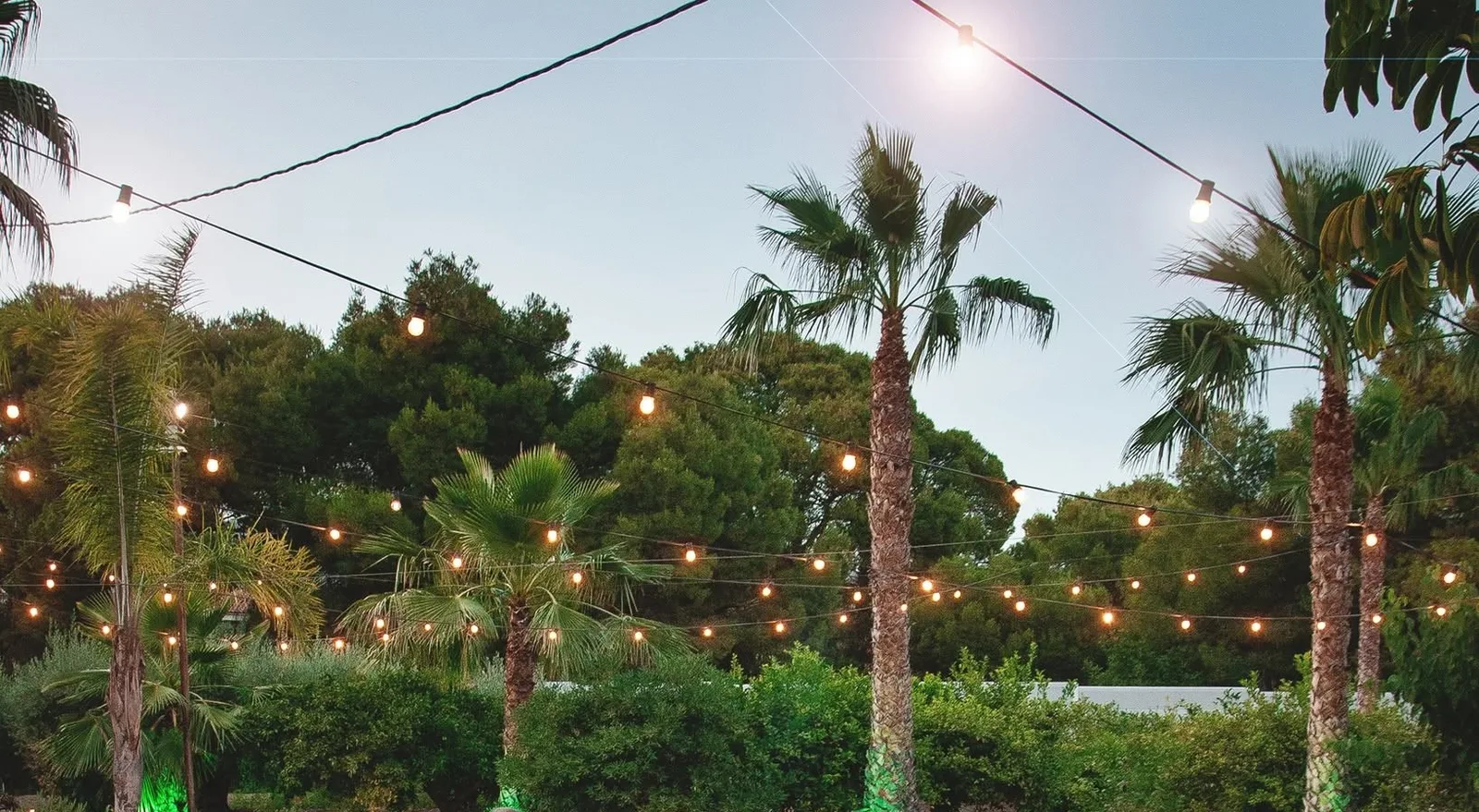 Guirnaldas de bombillas encendidas entre las palmeras del jardín